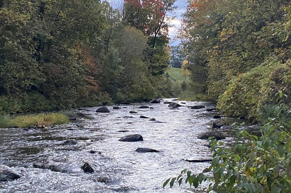 Photo of Others in Schuyler Falls