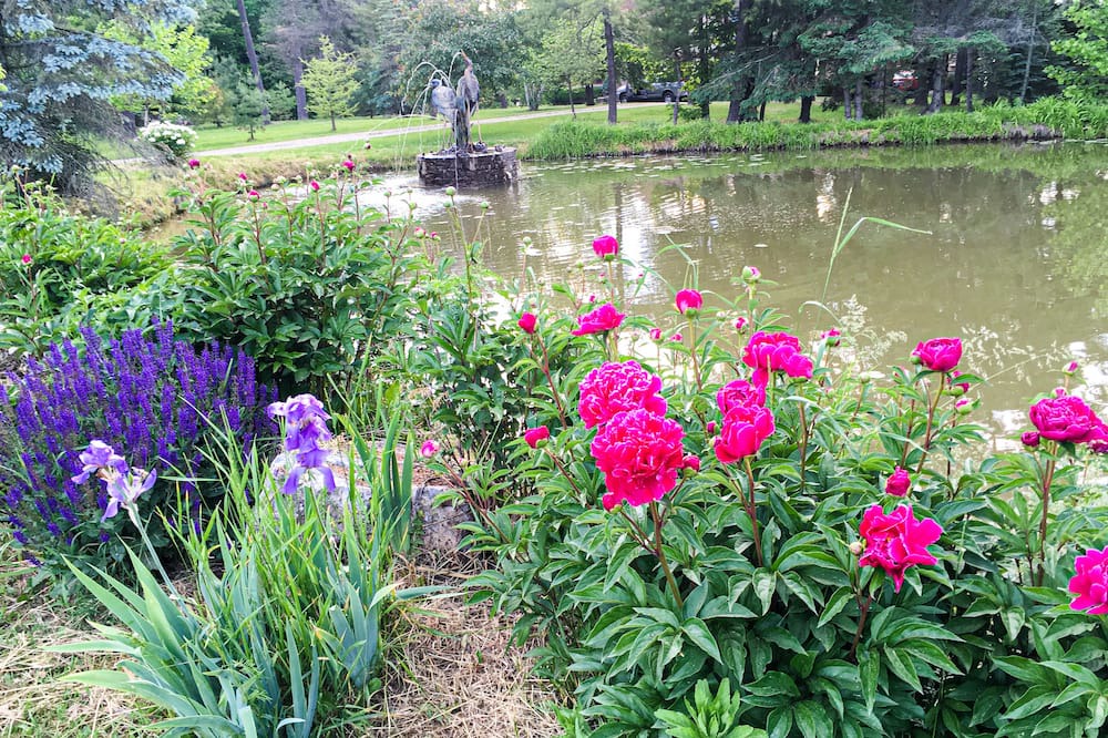 Photo of Outdoor in Vergennes