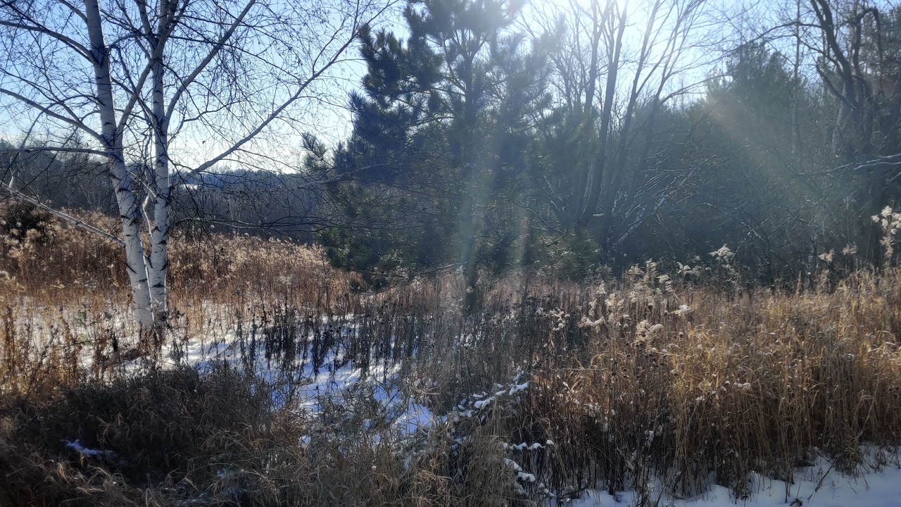 Photo of Outdoor in Rock Creek