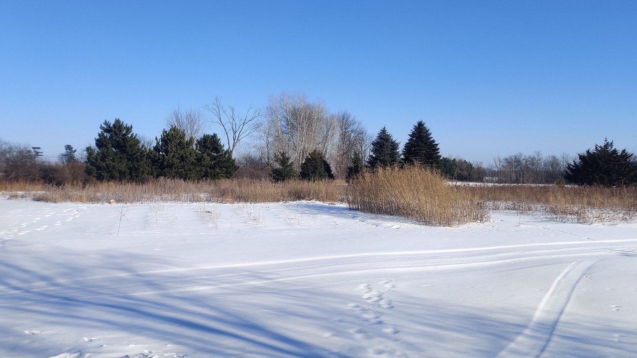 Photo of Outdoor in Rock Creek