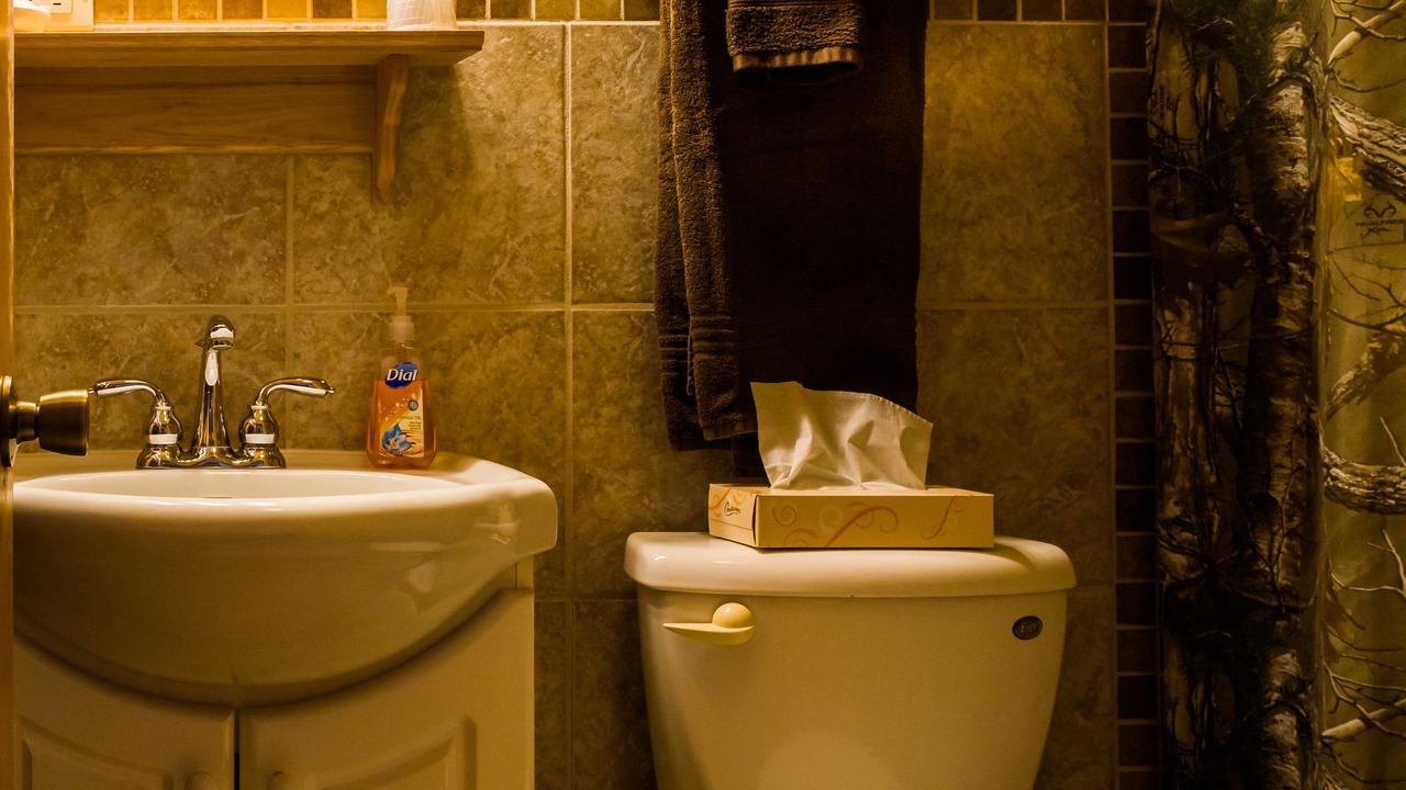 Photo of Bathroom in Rice Lake
