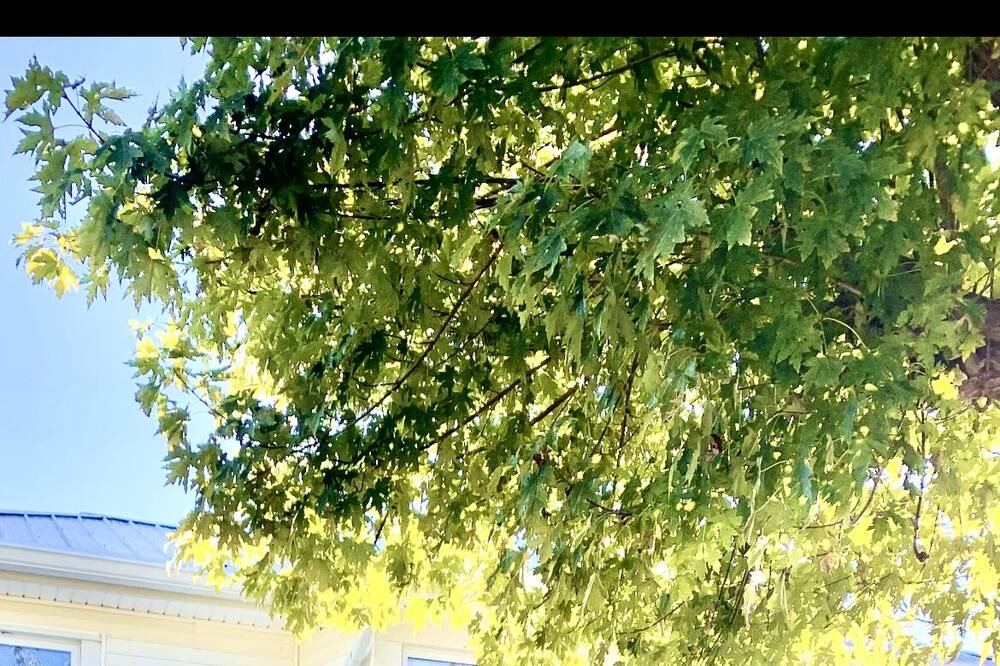 Photo of Outdoor in Bentonville