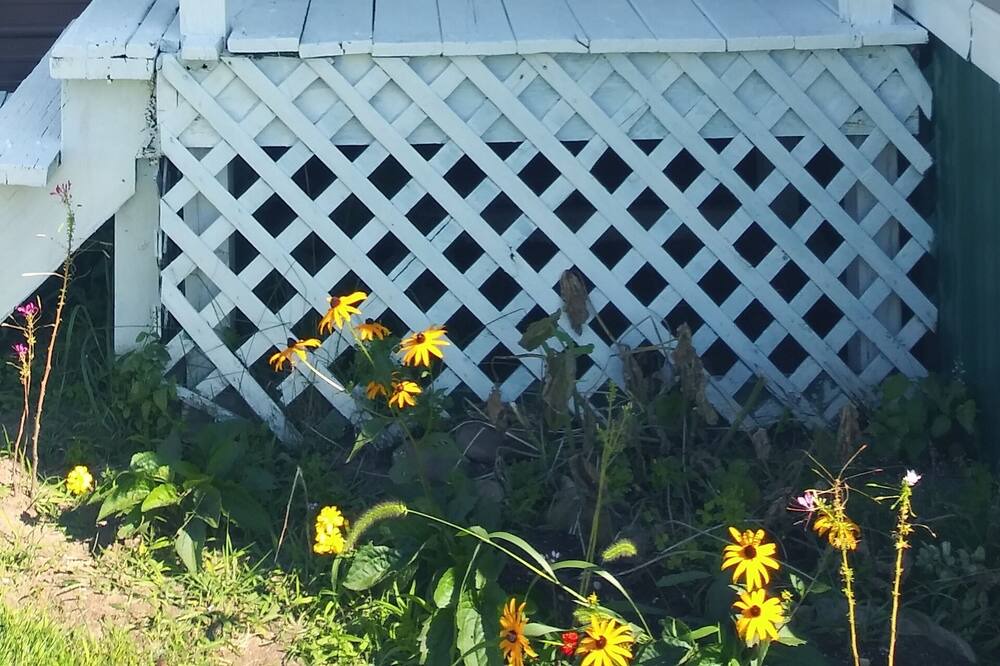Photo of Outdoor in Constable