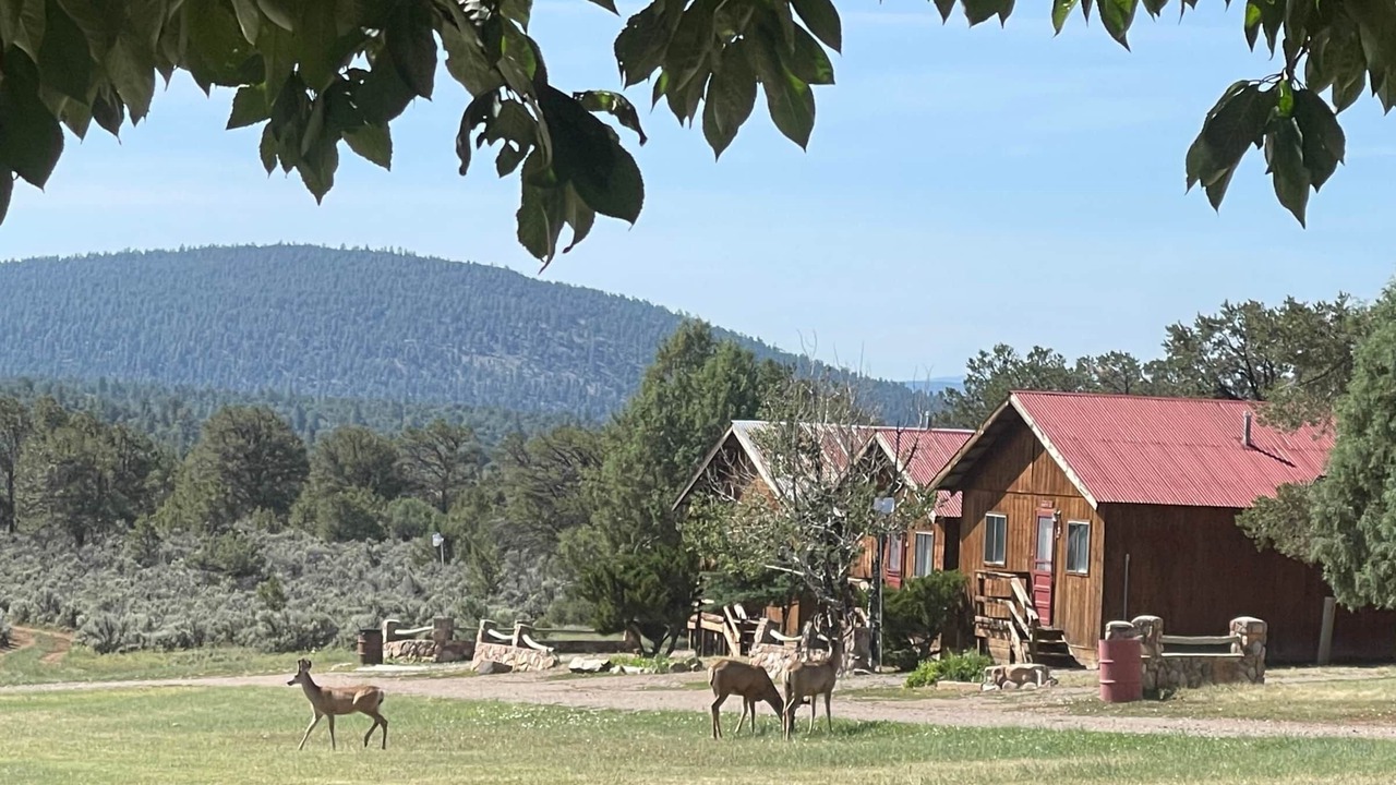 Photo of Outdoor in Rutheron