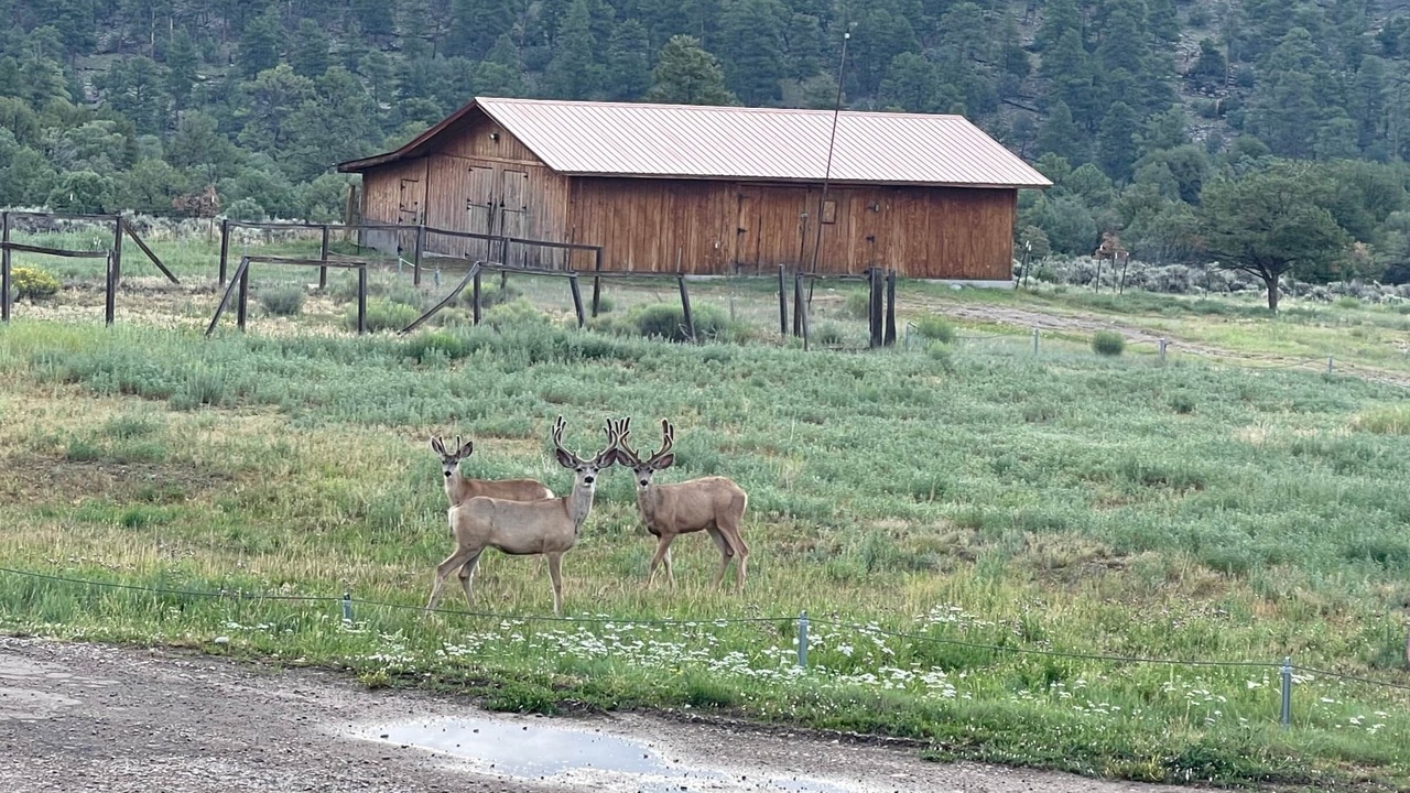 Photo of Others in Rutheron
