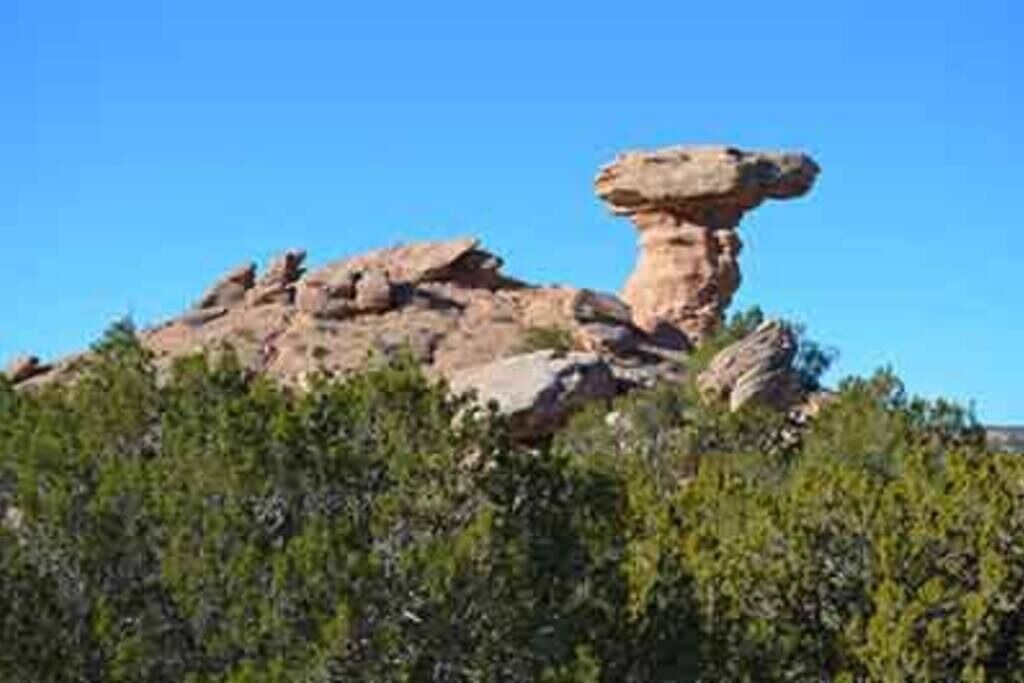 Photo of Outdoor in Rutheron