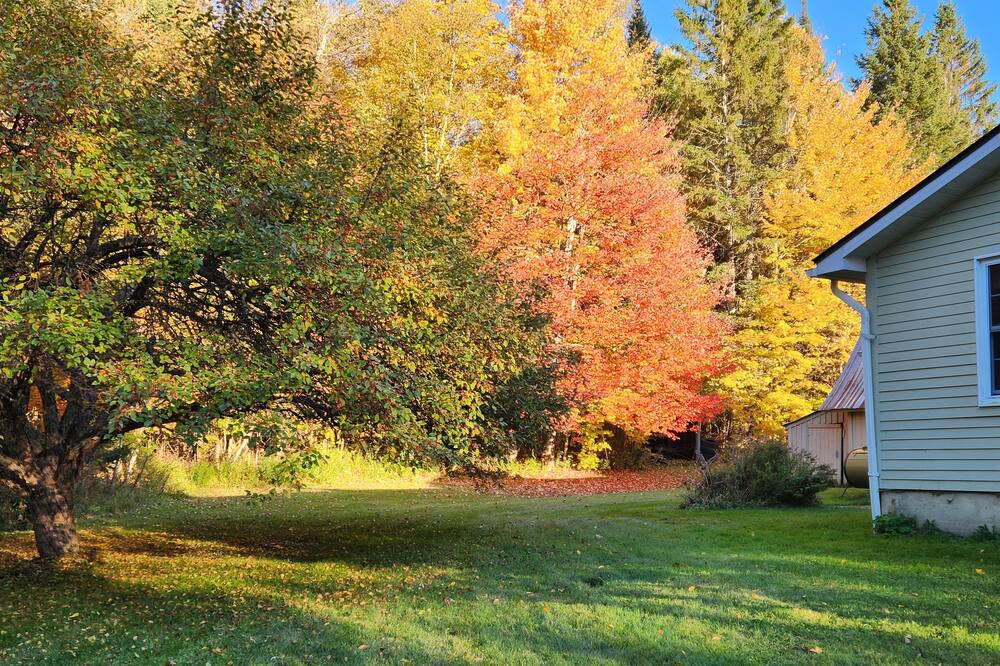 Photo of Outdoor in East Burke