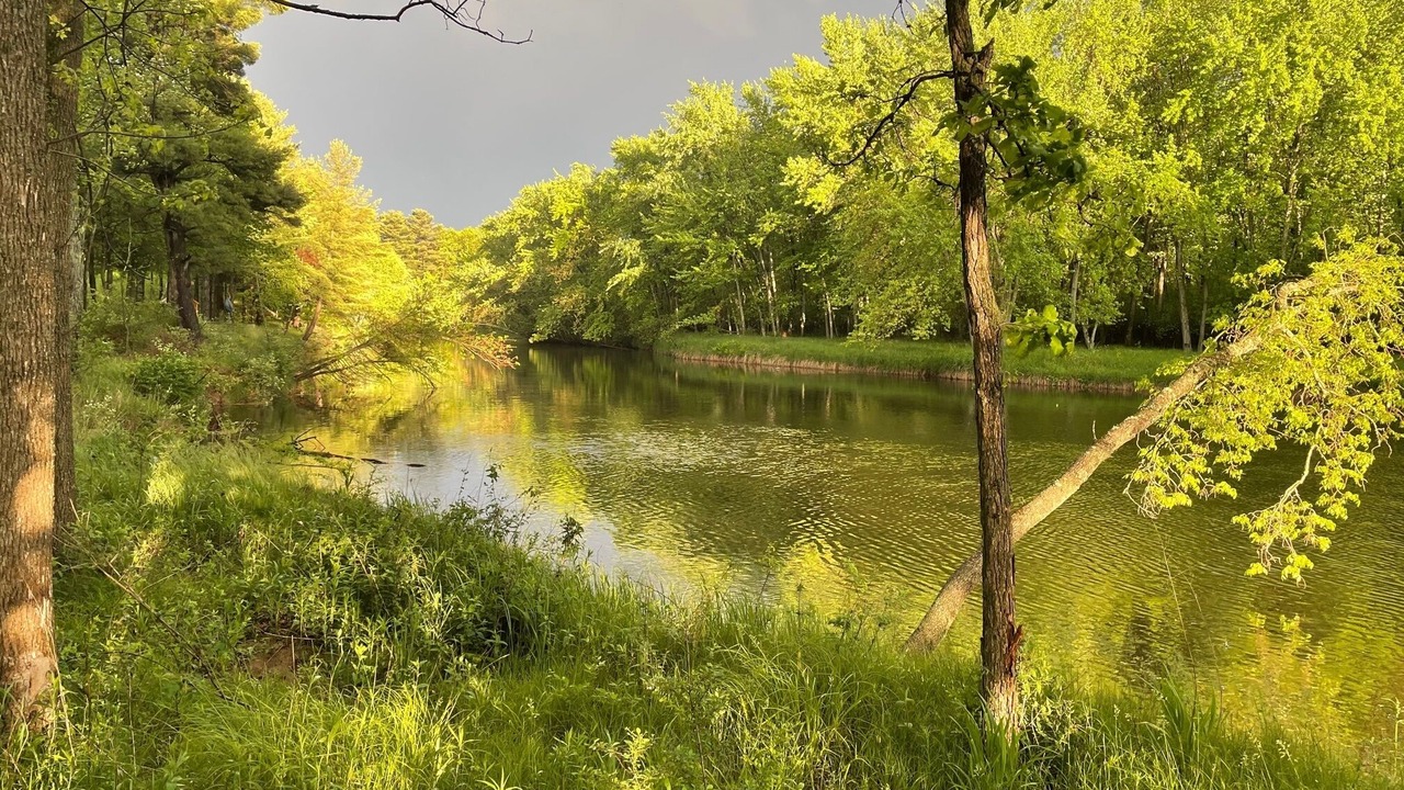 Photo of Outdoor in Schofield