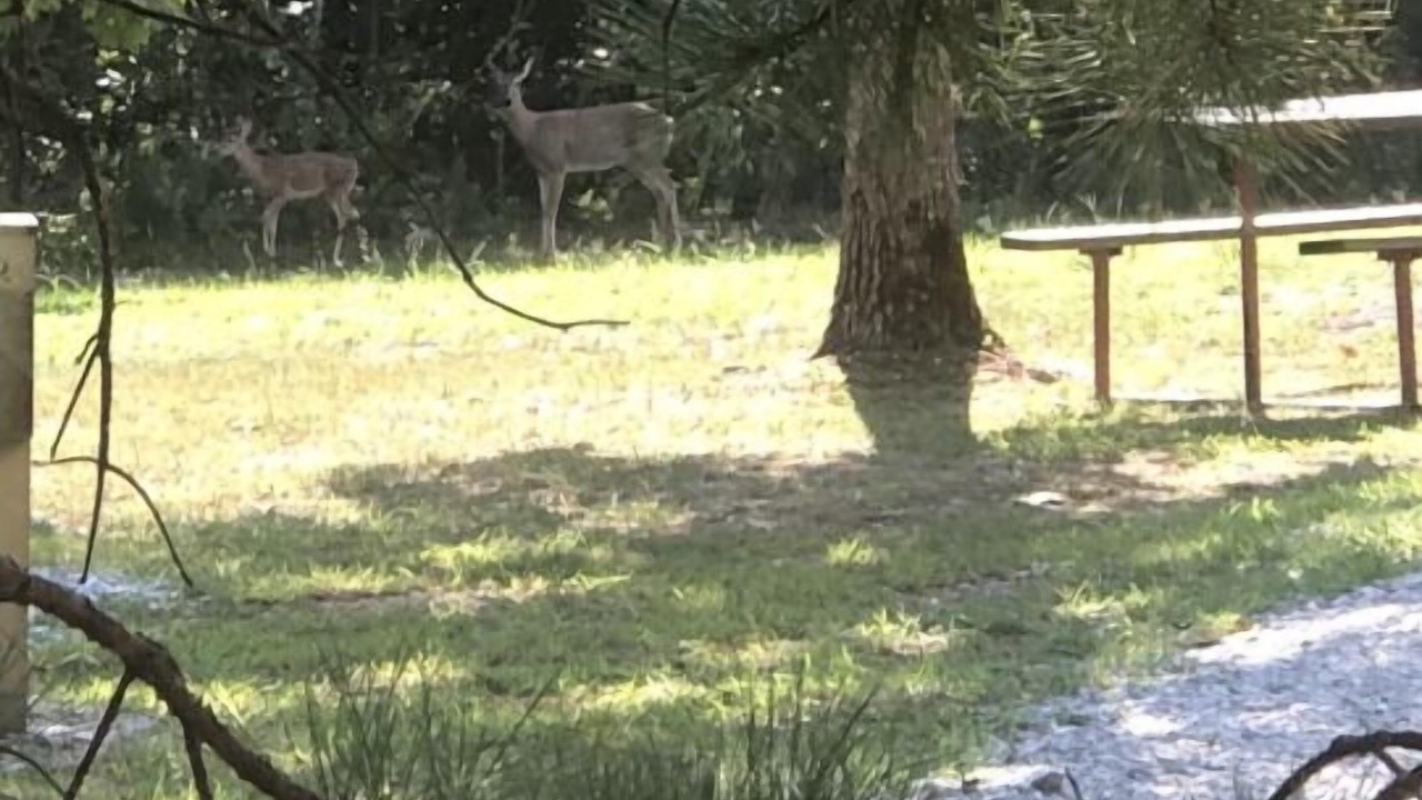 Photo of Outdoor in Teresita