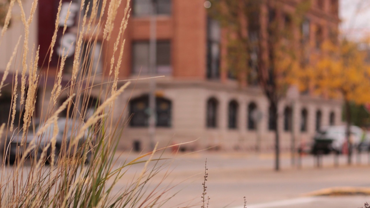 Photo of Outdoor in Winona