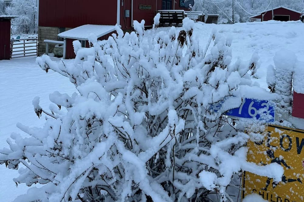 Photo of Outdoor in Winona