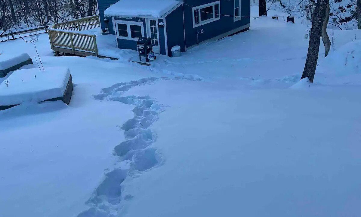 Photo of Outdoor in Waterville