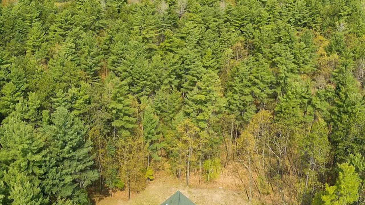Photo of Outdoor in Jay