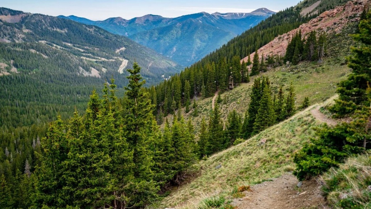 Photo of Others in Taos Ski Valley