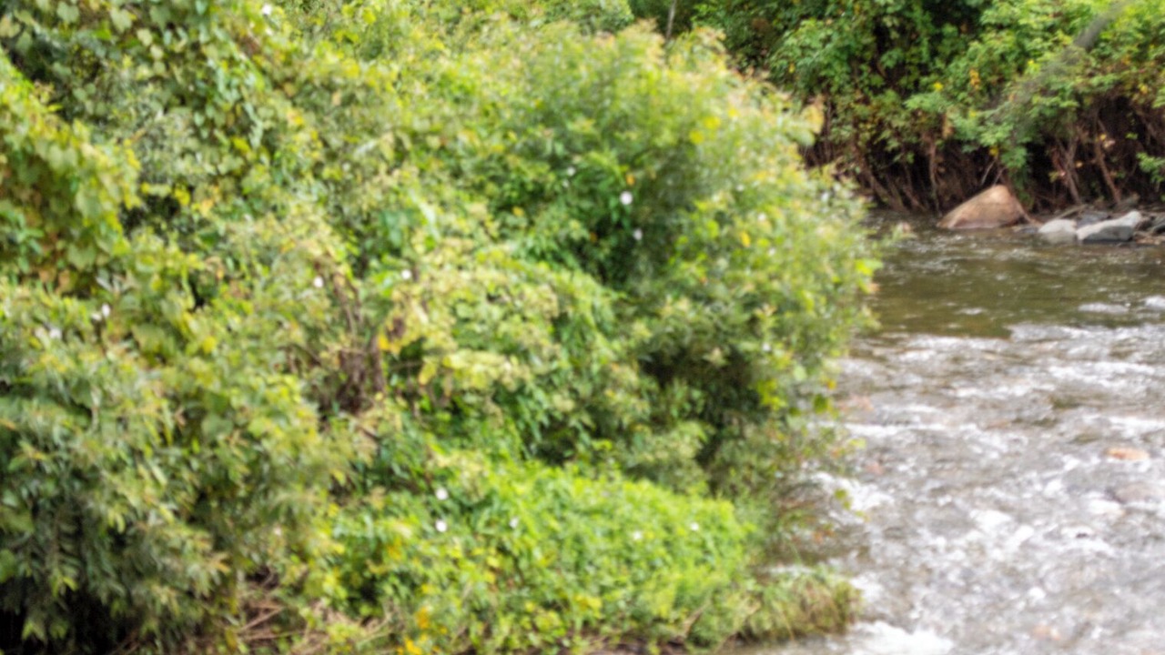 Photo of Outdoor in Waitsfield