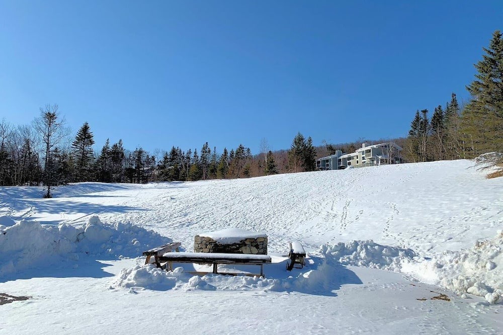 Photo of Others in Bromley Mountain