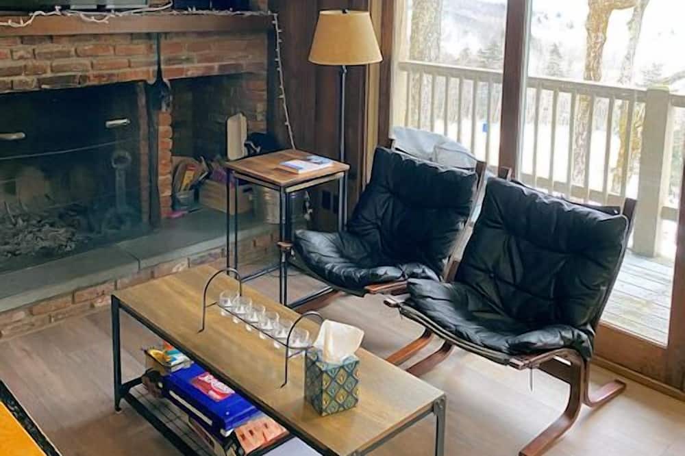 Photo of Livingroom in Bromley Mountain