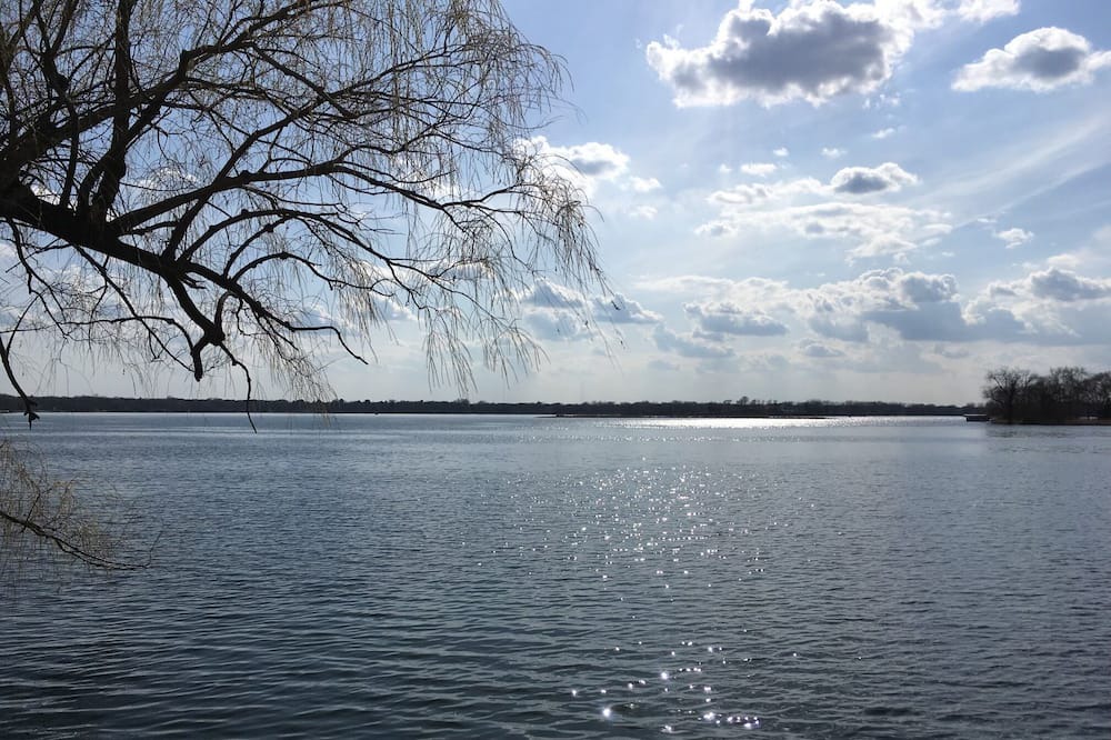 Photo of Others in White Bear Lake