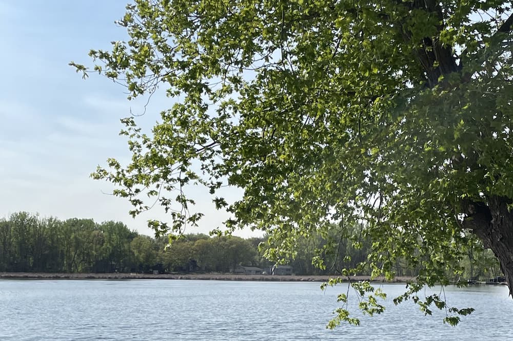 Photo of Others in White Bear Lake