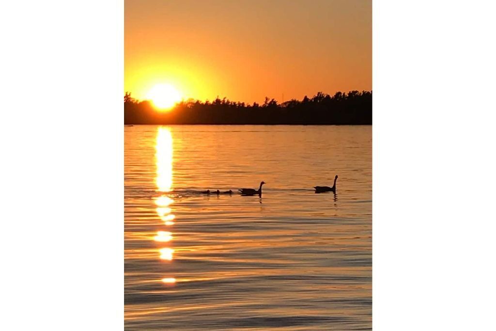 Photo of Others in Alexandria Bay