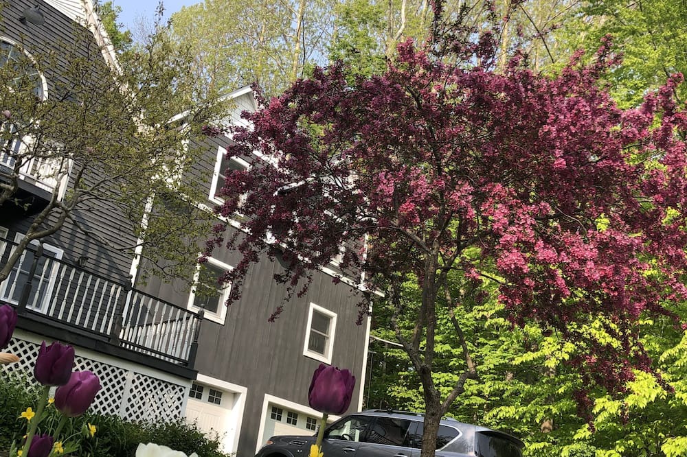 Photo of Outdoor in Wallingford
