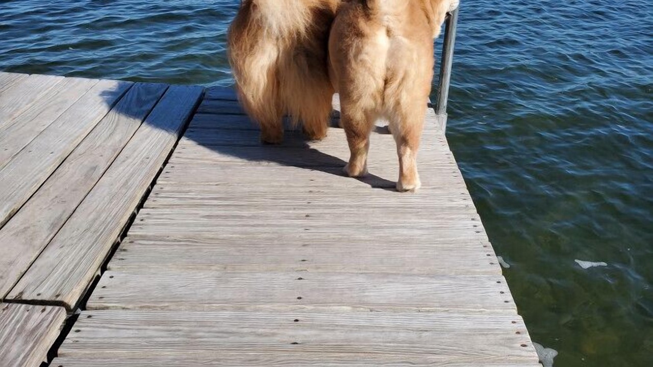 Photo of Others in Crosslake