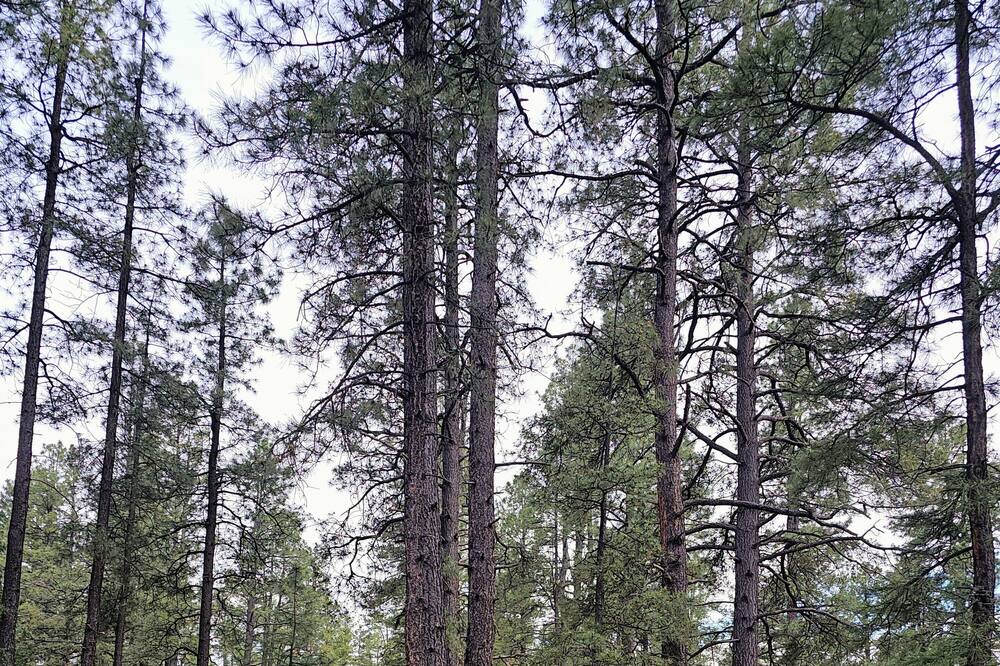 Photo of Outdoor in Jemez Springs