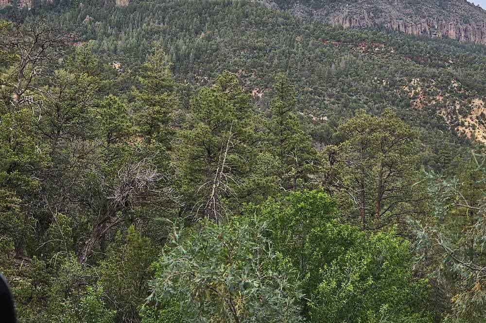 Photo of Others in Jemez Springs
