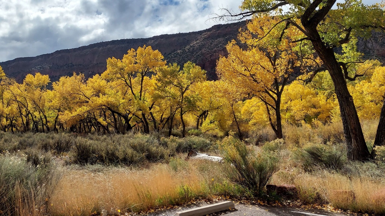 Photo of Outdoor in Jemez Springs