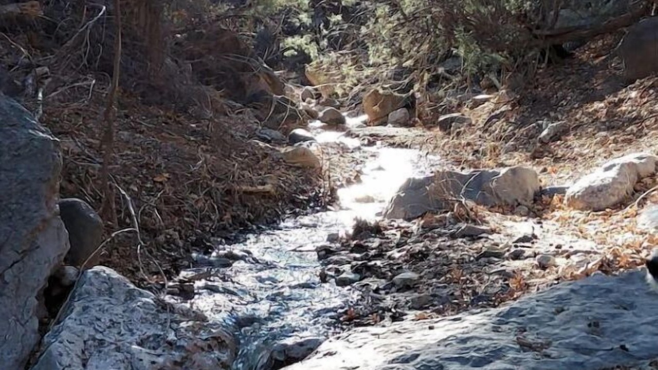 Photo of Others in Jemez Springs