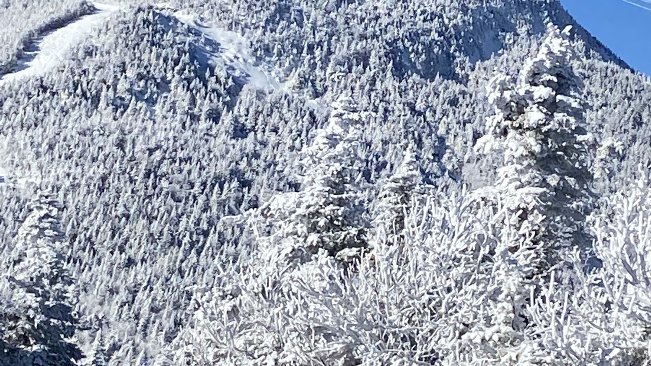 Photo of Outdoor in North Troy