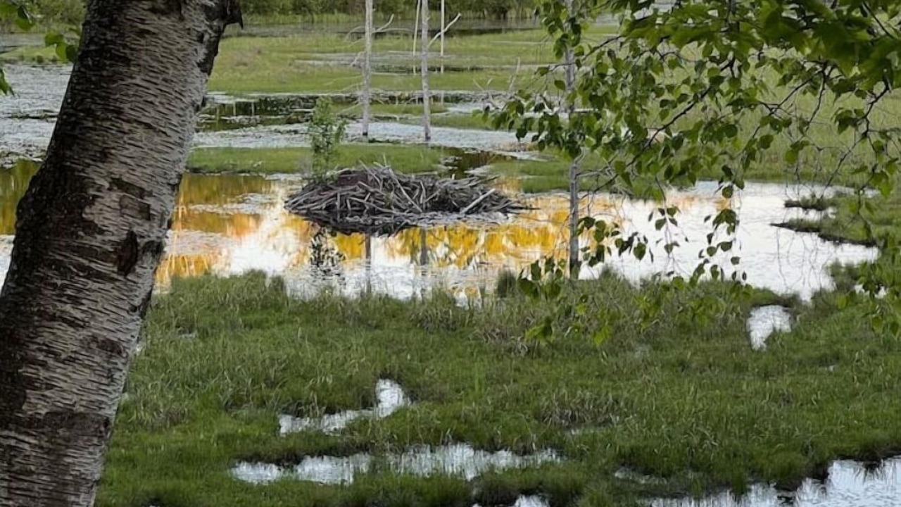 Photo of Outdoor in Holcombe