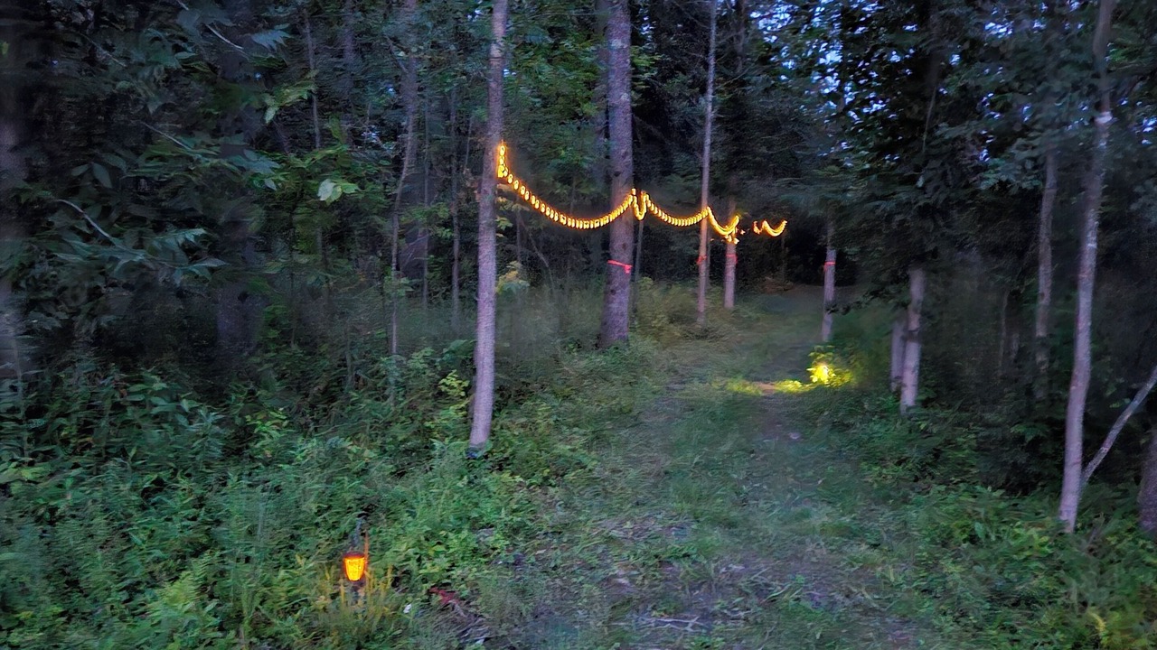 Photo of Outdoor in Town of Root