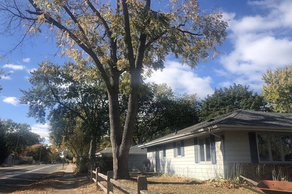 Photo of Others in East Bloomington