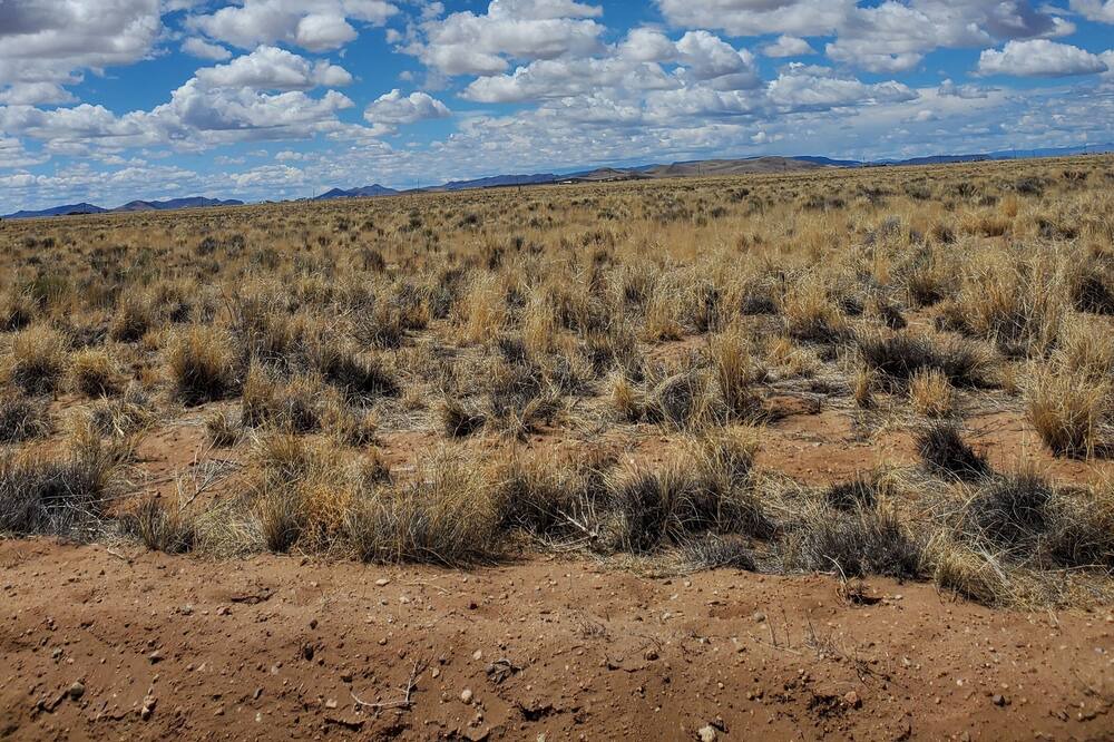 Photo of Outdoor in Alamosa