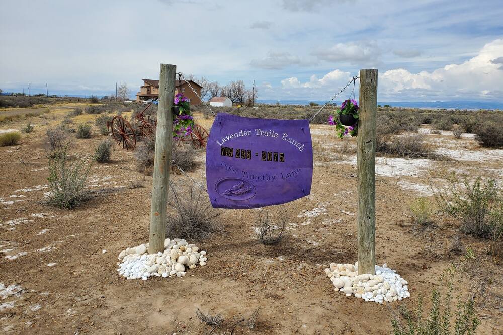 Photo of Outdoor in Alamosa