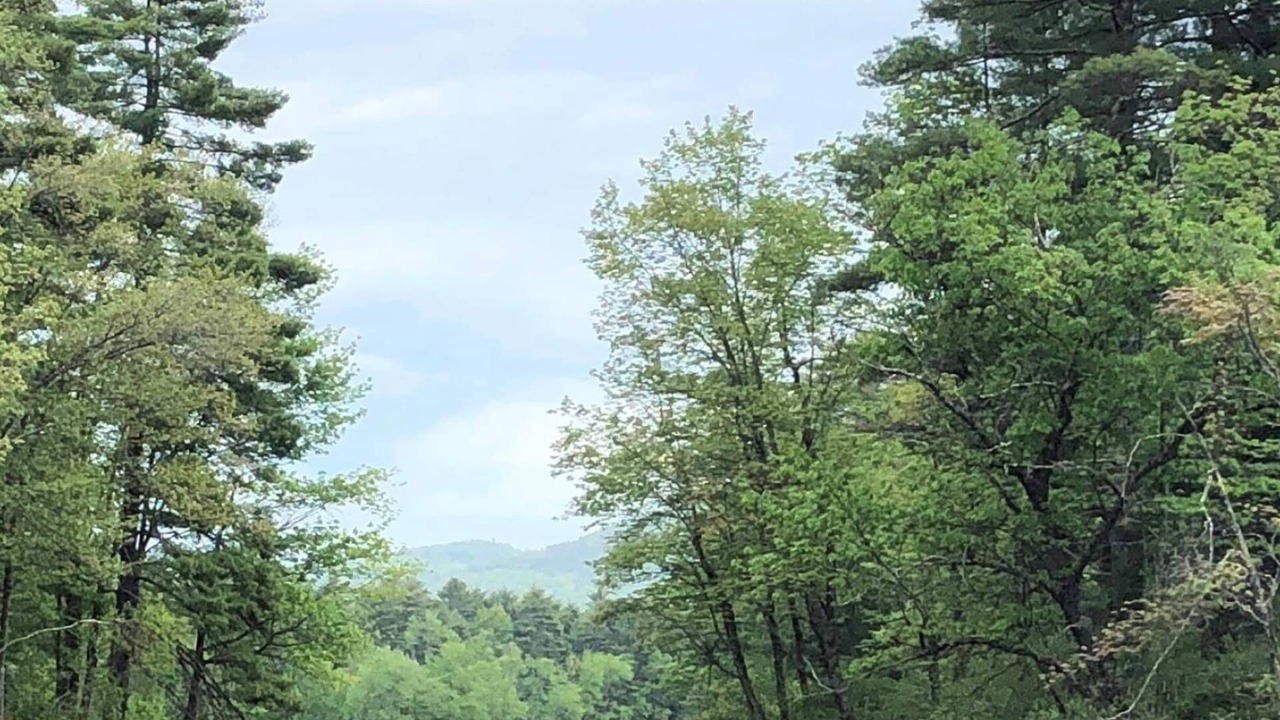 Photo of Outdoor in Carroll County