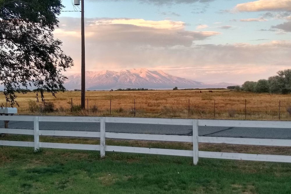 Photo of Others in Alamosa