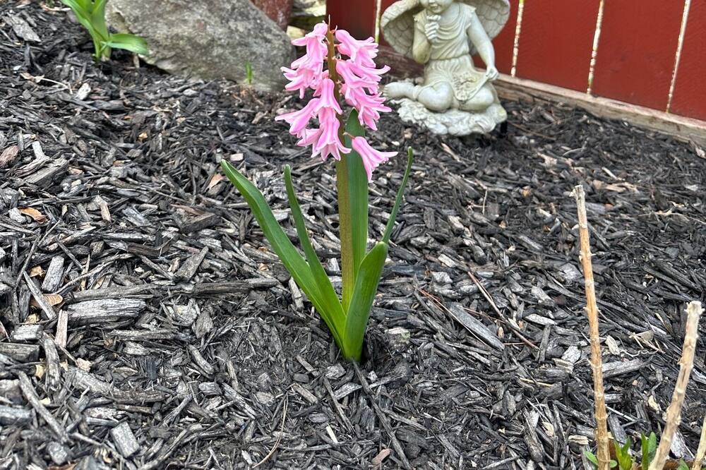 Photo of Outdoor in Adams