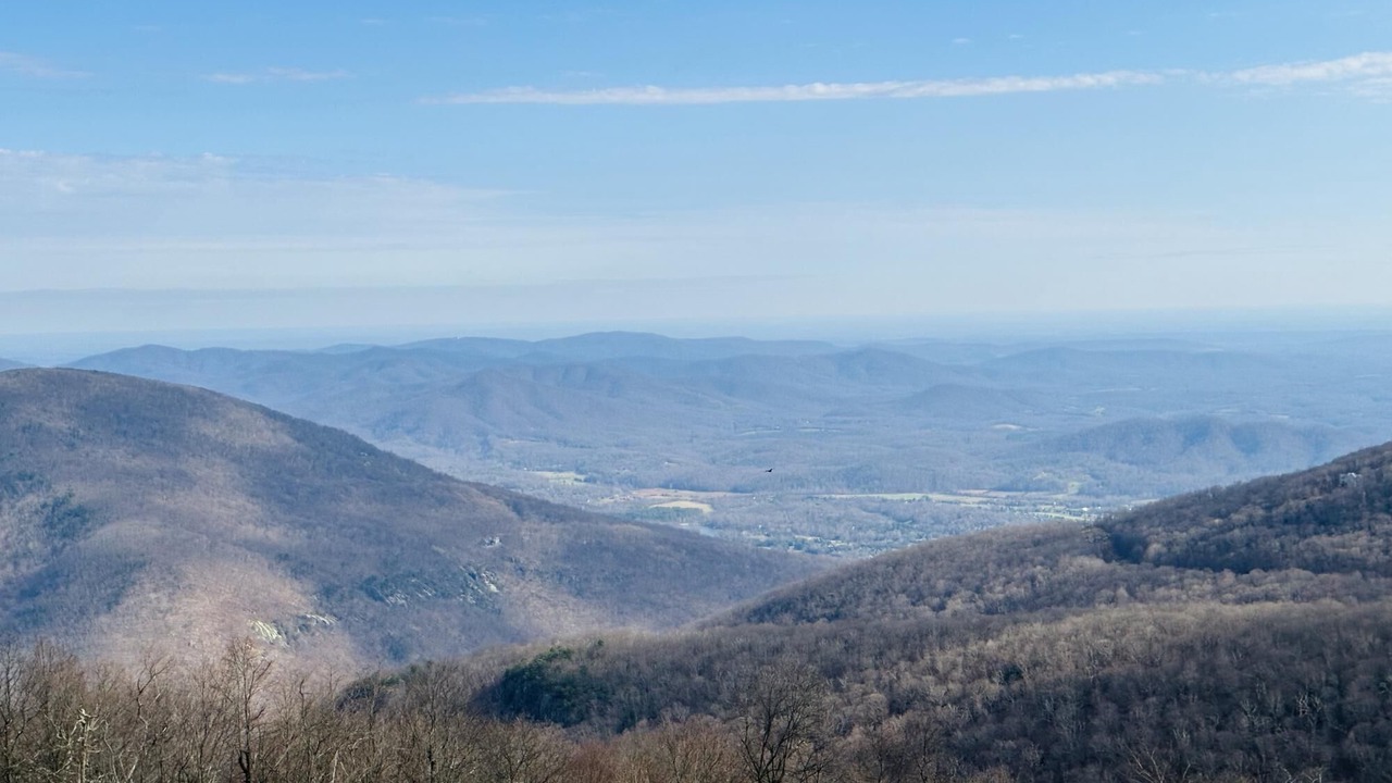 Photo of Others in Chestnut Springs