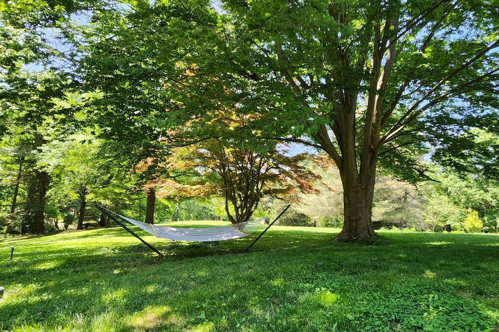 Photo of Outdoor in Carrolltowne