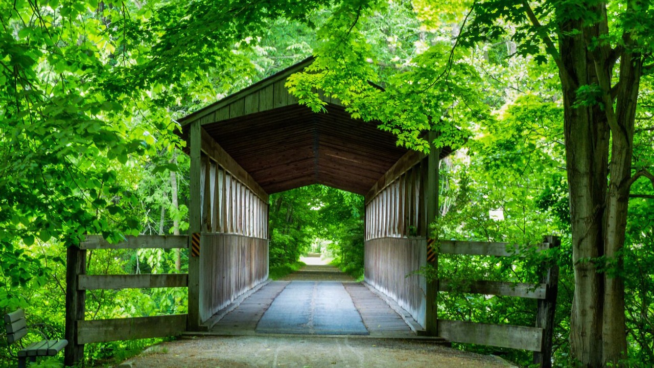 Photo of Others in South Haven