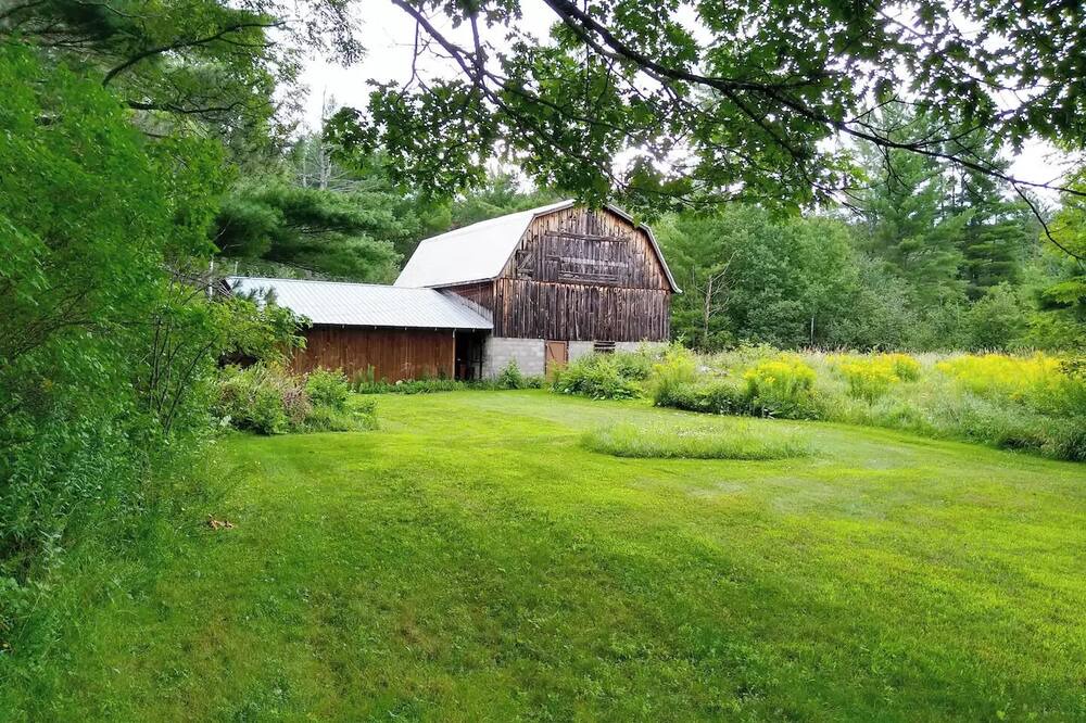 Photo of Outdoor in Upper Jay