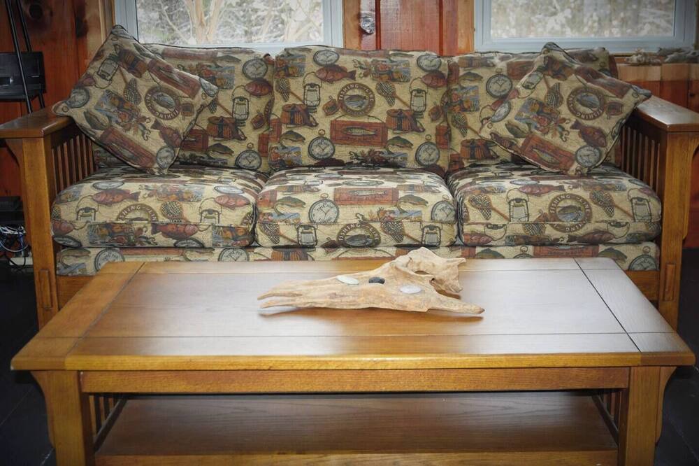 Photo of Livingroom in Upper Jay
