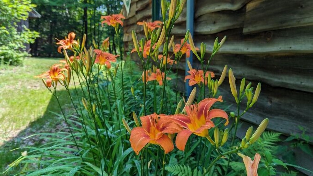 Photo of Outdoor in Newport