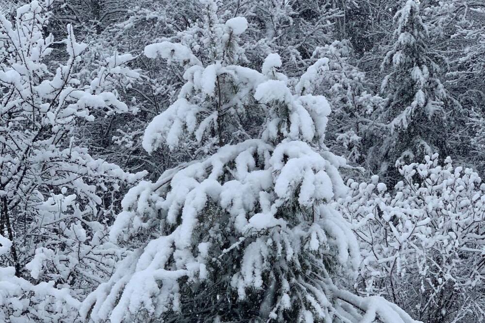 Photo of Outdoor in Northfield