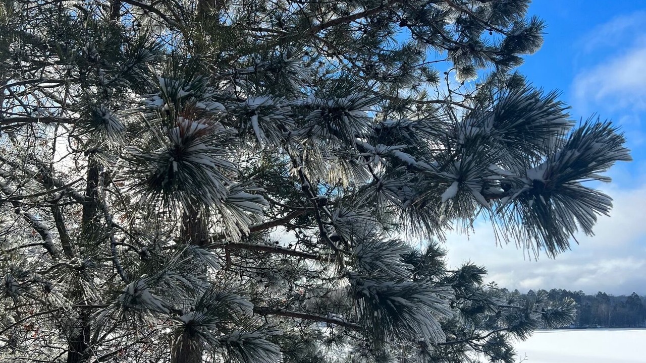 Photo of Outdoor in Solon Springs