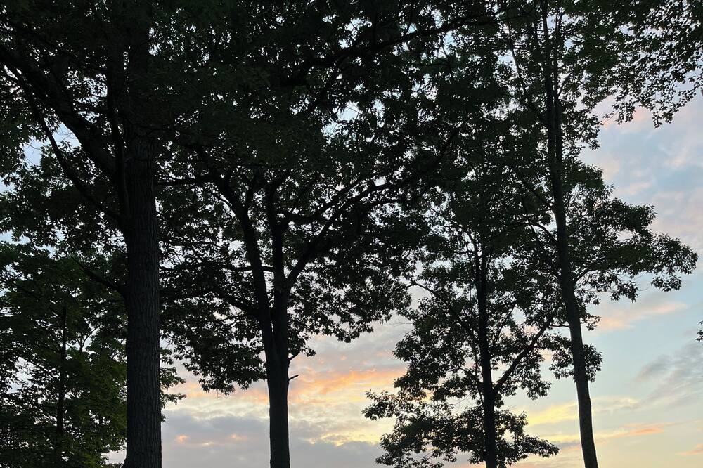 Photo of Outdoor in Newport