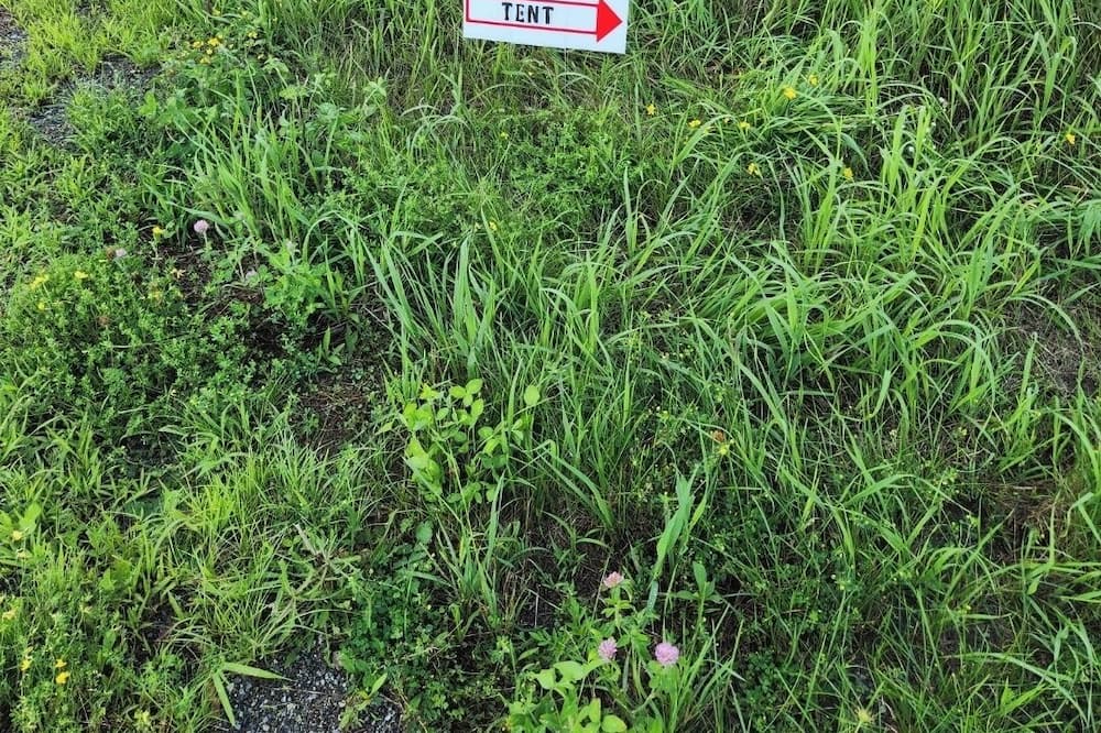 Photo of Outdoor in Crown Point