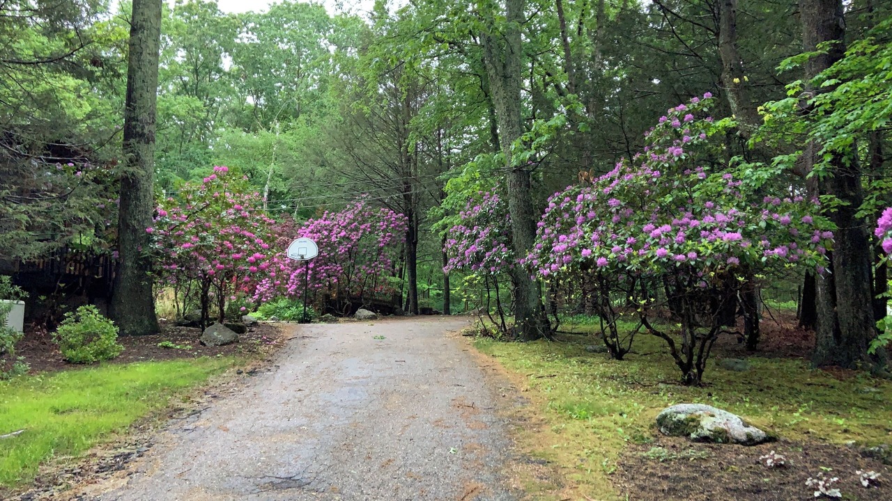 Photo of Outdoor in Storrs